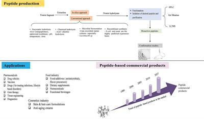 The current research status and strategies employed to modify food-derived bioactive peptides